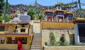 Indien Dharamsala