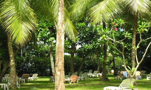 Lanka Princess Hotel Garten