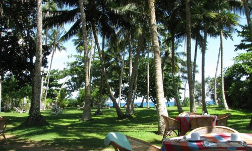 Surya Lanka Ayurveda Beach Resort Garten