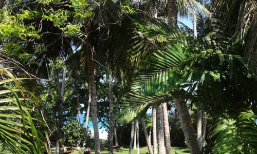 Surya Lanka Ayurveda Beach Resort Garten