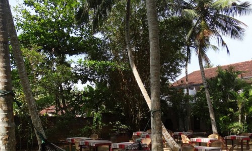 Surya Lanka Ayurveda Beach Resort Restaurant