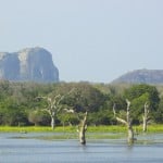 Sri Lanka Yala Nationalpark
