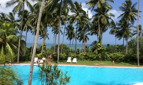 Eva Lanka Resort Swimming Pool