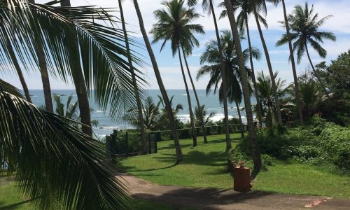Eva Lanka Resort Garten