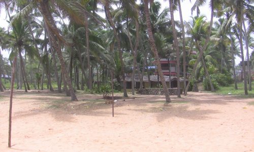 Nilayam Ayurveda Beach Resort