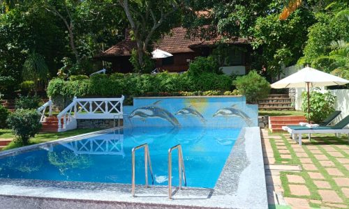 Swimming Pool Nikkis Nest