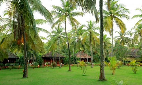 Nattika Beach Resort_Garten