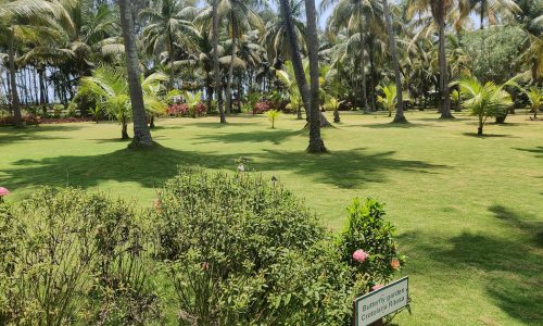 Nattika Beach Resort_Garten1