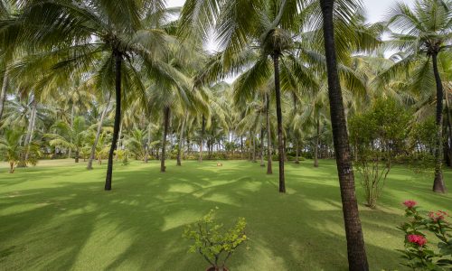 Nattika Beach Resort_Garten2