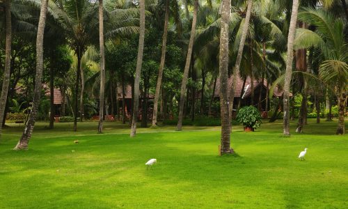 Nattika Beach Resort_Garten3