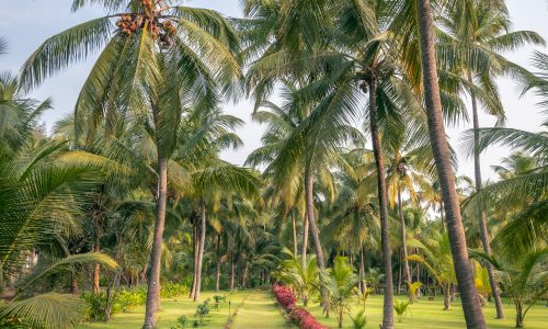 Nattika Beach Resort_Garten4