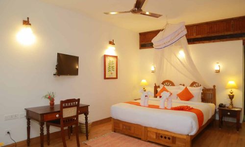 Hill View Palace Deluxe Room