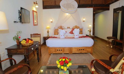 AyurSoma Ayurveda Royal Retreat Palace Deluxe Room